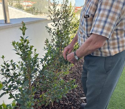 idoso com as plantas